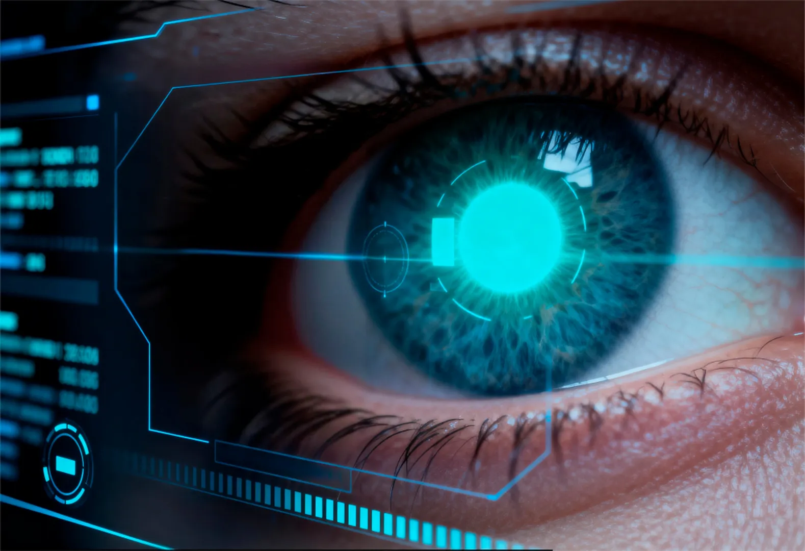 image du 1er service proposée